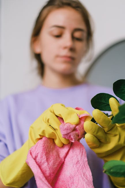 A woman wearing yellow rubber gloves is seen in a close-up image, holding a pink cloth and cleaning a green leafy houseplant. The background appears to be an indoor setting with neutral lighting, and the focus is on her hands and the plant. The scene emphasizes cleaning, plant care, or home tidying activities, which are related to house keeping or property maintenance. Although not directly related to house removals or moving services, the image highlights domestic chores that may be part of a property's overall preparation or upkeep, as seen in the services offered by Man and a Van Harrow.
